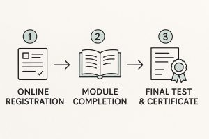 Following three basic steps a Miami driver avoids points in driver license.