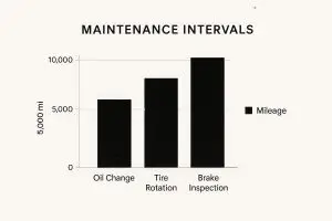 Car maintenance schedule infographic.