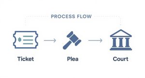 Infographic about what to expect in traffic court