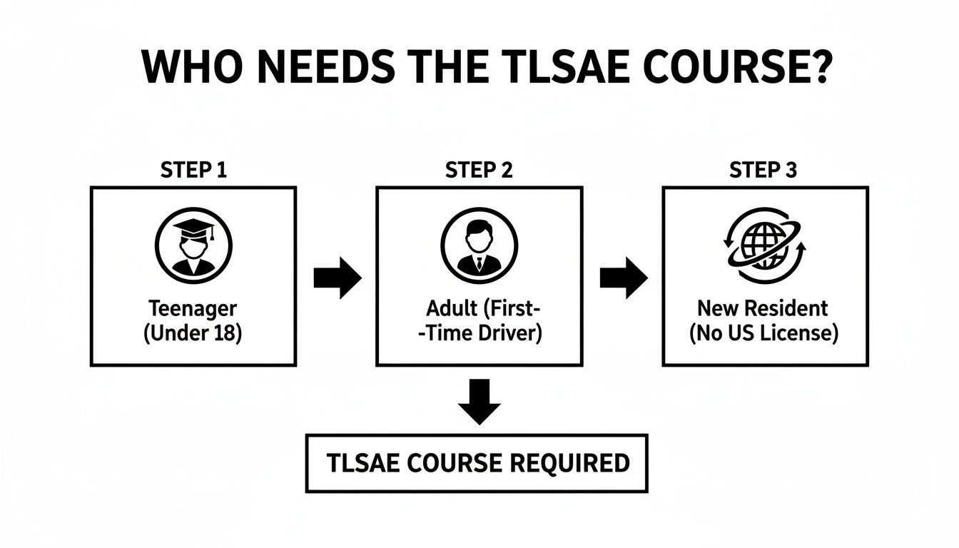 Flowchart detailing that teenagers, first-time adult drivers, and new residents all need the TLSAE course.