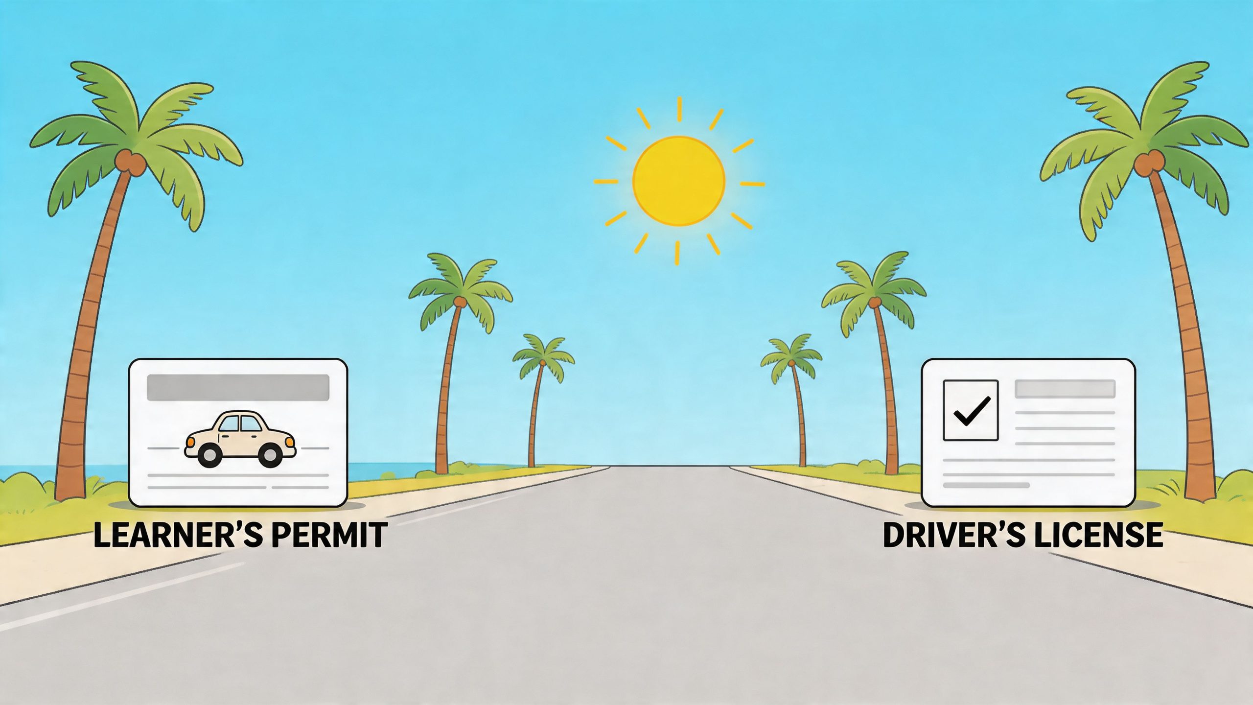 A cartoon illustration showing a road between palm trees with a learner's permit and a driver's license.