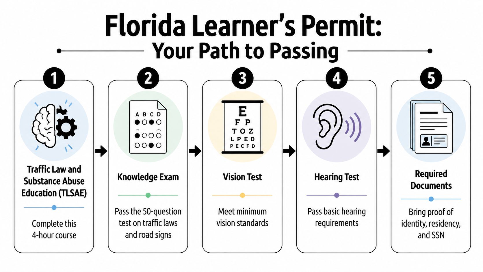 An infographic showing the five-step process to obtain a Florida learner's permit for new drivers.