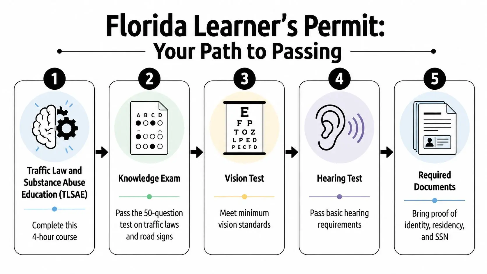 An infographic showing the five-step process to obtain a Florida learner's permit for new drivers.