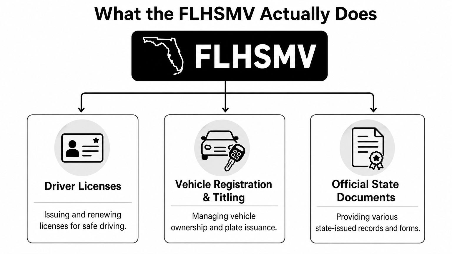 What the FLHSMV Actually Does